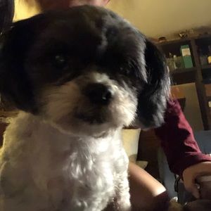 Meet your Posher, Rayna